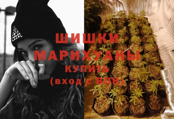 мдпв Волоколамск