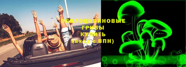прущая мука Верея