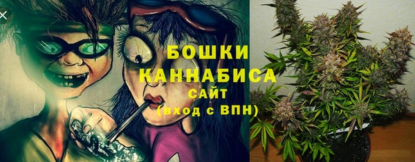 мдпв Волоколамск