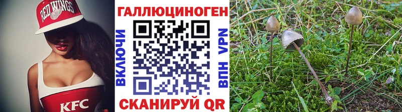 Купить  Красноуральск  Галлюциногенные грибы Cubensis 